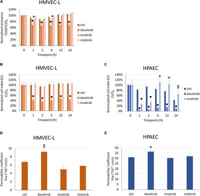 Rho-Kinase Inhibition Ameliorates Dasatinib-Induced Endothelial Dysfunction and Pulmonary Hypertension